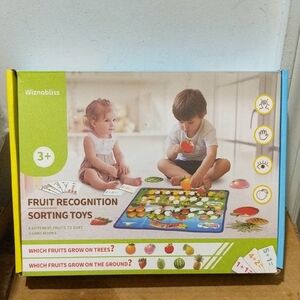 Wiznonliss Fruit Recognition Sorting Toys - 3 Games Colorful Educational Set 🆕